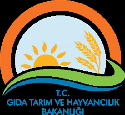 GIDA GÜVENLİĞİ  VE  KALİTESİNİN DENETMİ VE GÜVENLİĞİNE DAİR YÖNETMELİK