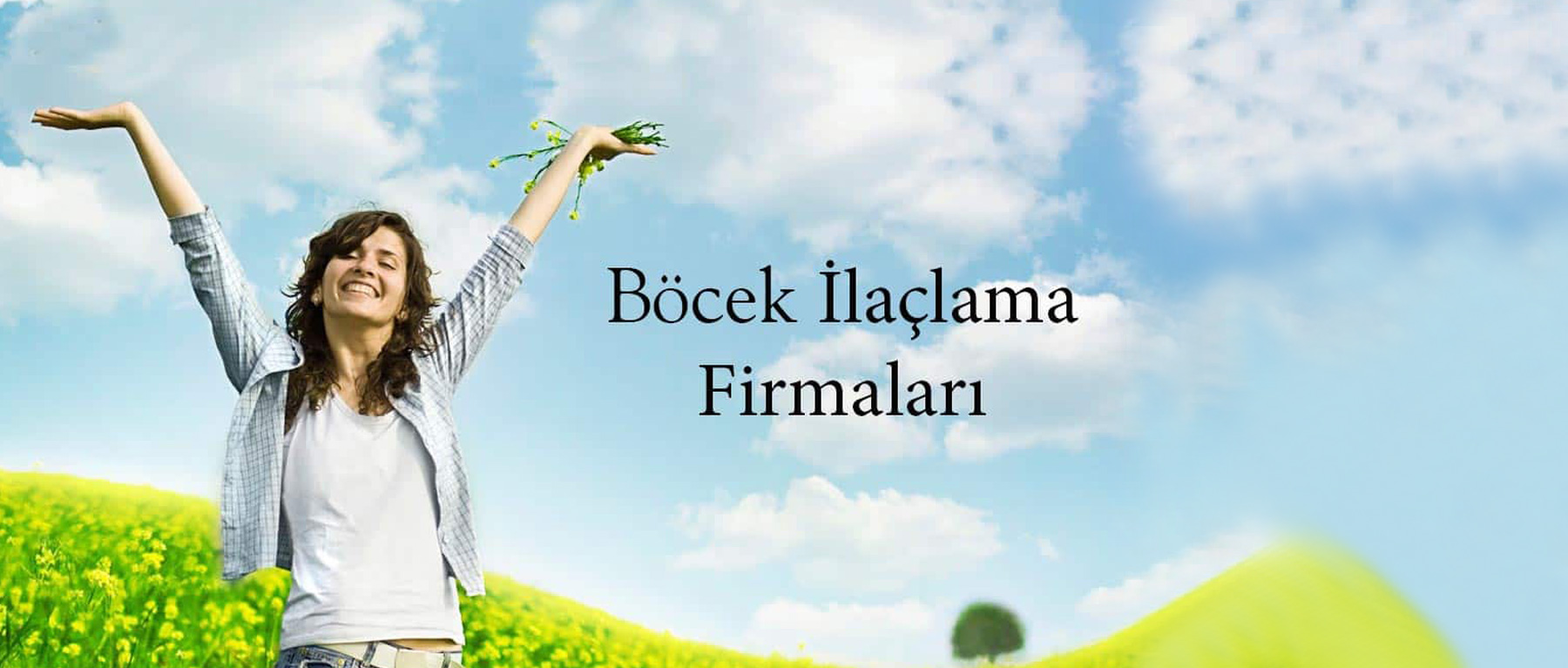 Ankara İlaçlama Firmaları